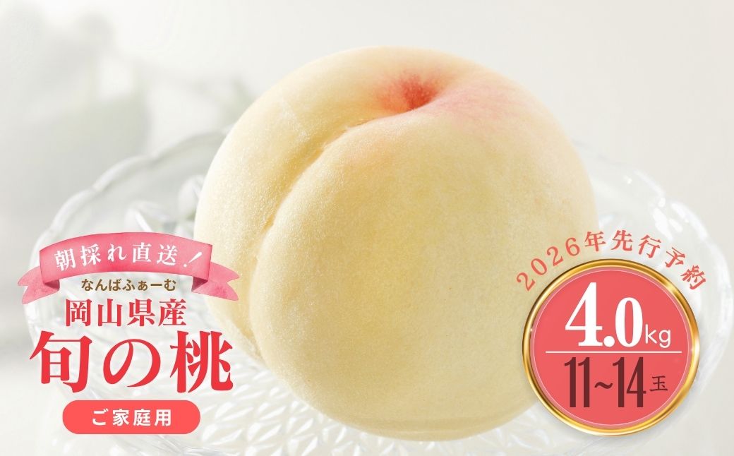 【2026年先行予約】［なんばふぁーむ］岡山県産 旬の桃 4.0kg（11～14玉）［ご家庭用］