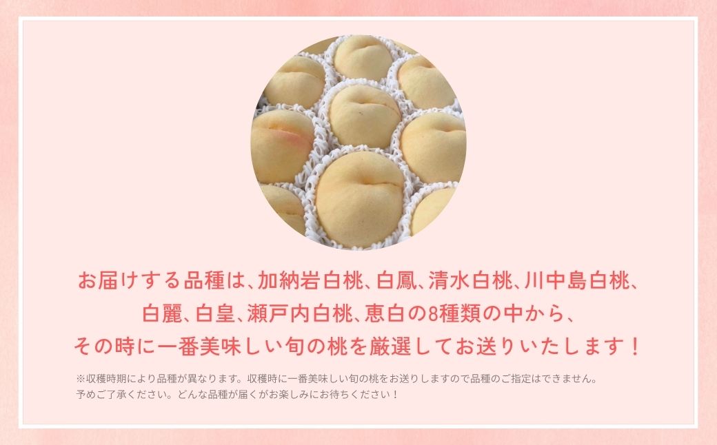 【2026年先行予約】［なんばふぁーむ］岡山県産 旬の桃 4.0kg（11～14玉）［ご家庭用］