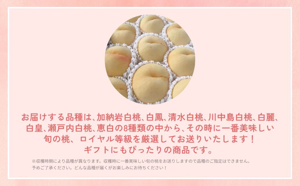 【2026年先行予約】［なんばふぁーむ］岡山県産 旬の桃 2.0kg（5～9玉）[ギフト用]