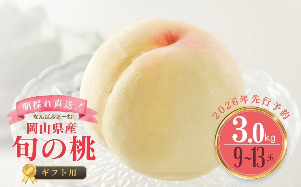 【2026年先行予約】［なんばふぁーむ］岡山県産 旬の桃 3.0kg（9～13玉）[ギフト用]