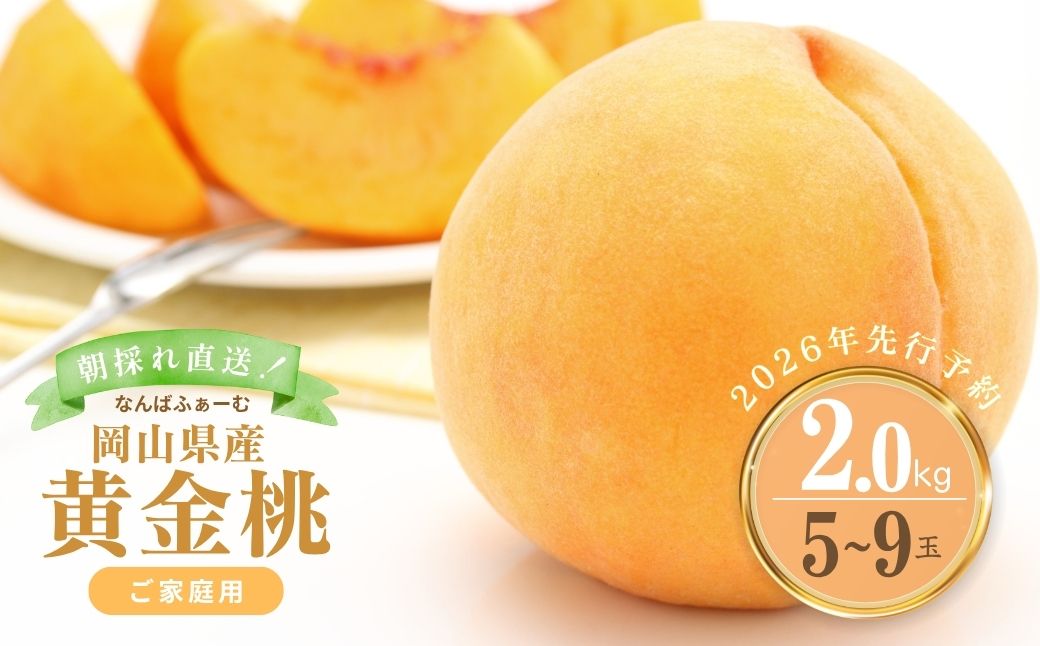【2026年先行予約】［なんばふぁーむ］岡山県産 黄金桃 2.0kg（5～9玉）［ご家庭用］