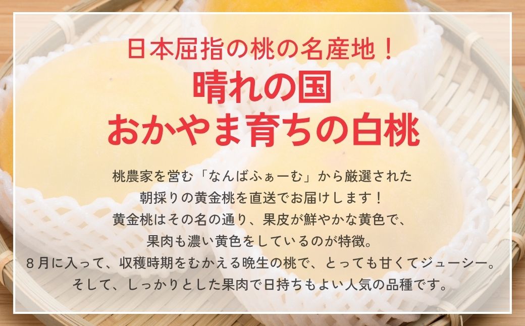 【2026年先行予約】［なんばふぁーむ］岡山県産 黄金桃 2.0kg（5～9玉）［ご家庭用］