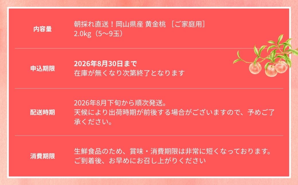 【2026年先行予約】［なんばふぁーむ］岡山県産 黄金桃 2.0kg（5～9玉）［ご家庭用］