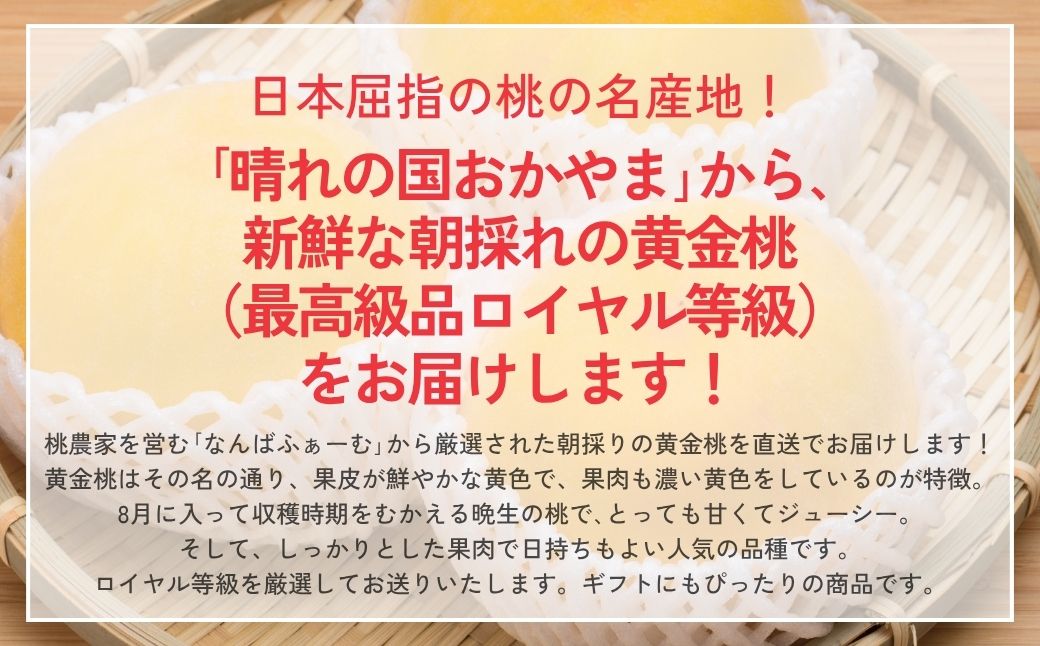 【2026年先行予約】［なんばふぁーむ］岡山県産 黄金桃 1.5kg（4～6玉）[ギフト用]