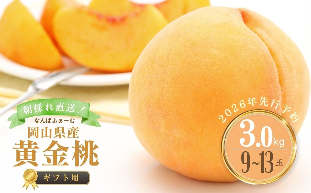 【2026年先行予約】［なんばふぁーむ］岡山県産 黄金桃 3.0kg（9～13玉）[ギフト用]