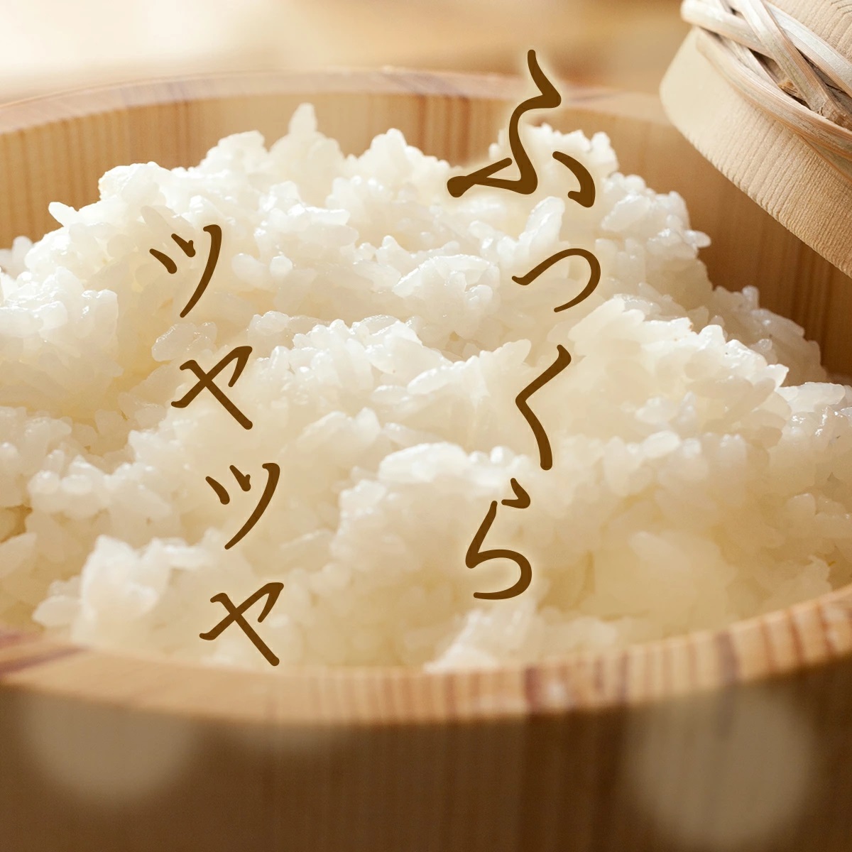 令和7年産 鏡野町産 コシヒカリ 精米 10kg（2kg×5袋）［2025年12月発送］