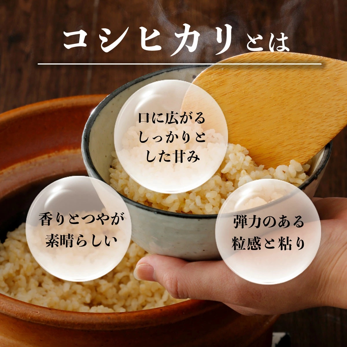 令和7年産 鏡野町産 コシヒカリ 玄米 20kg