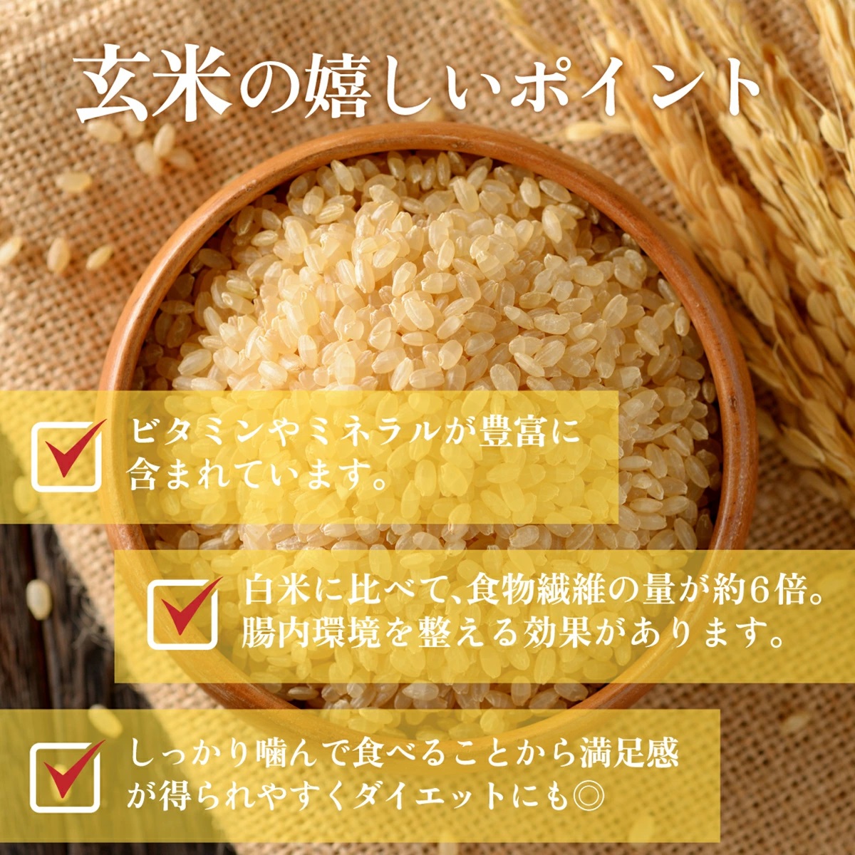 令和7年産 鏡野町産 コシヒカリ 玄米 20kg