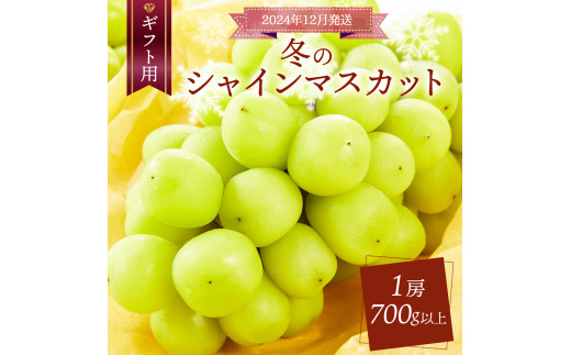 ＜2024年12月発送＞ギフト冬のシャインマスカット 1房 700g以上