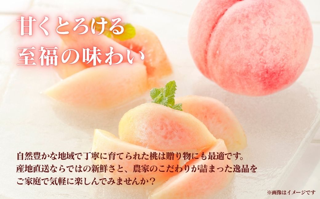 【2026年先行予約】［拝郷果樹園］岡山県産 厳選旬の桃 約2kg（6玉～9玉）