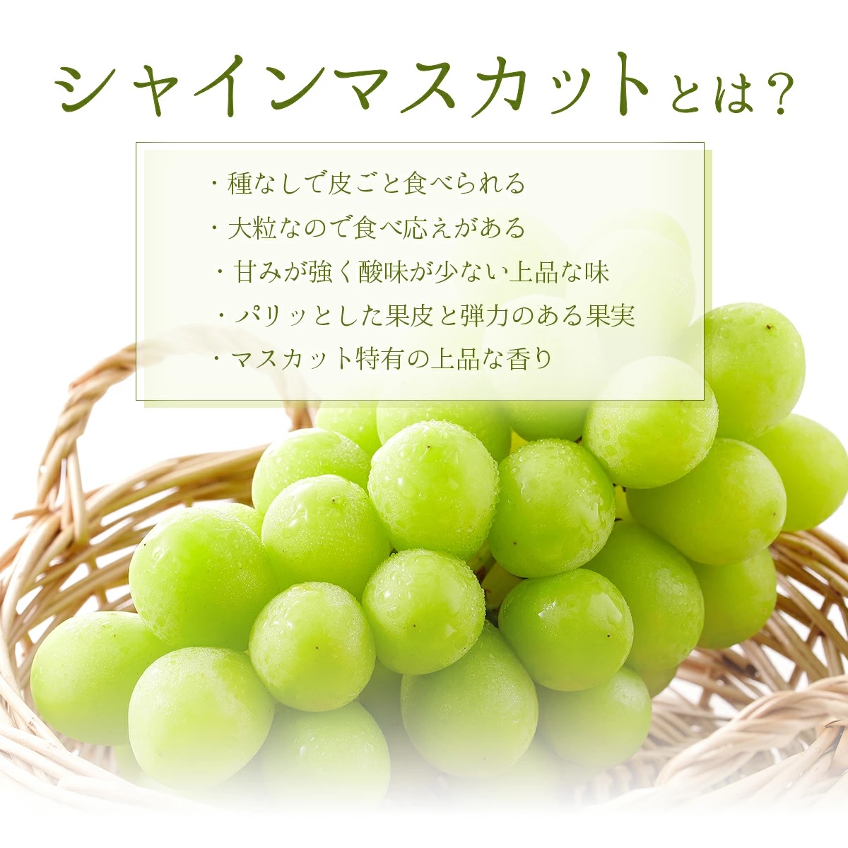 【2026年発送分 先行予約】岡山県産 シャインマスカット 600g以上（1房）