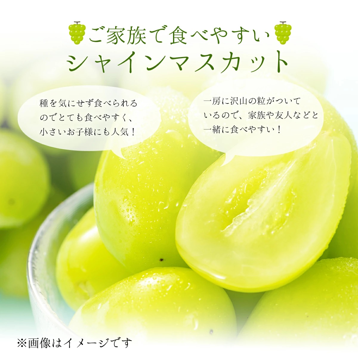 【2026年発送分 先行予約】岡山県産 シャインマスカット 1.2kg以上（2～3房）