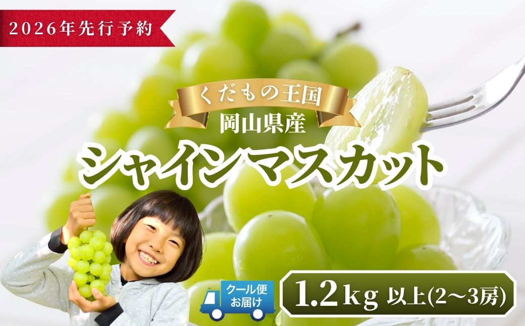 【2026年発送分 先行予約】岡山県産 シャインマスカット 1.2kg以上（2～3房）