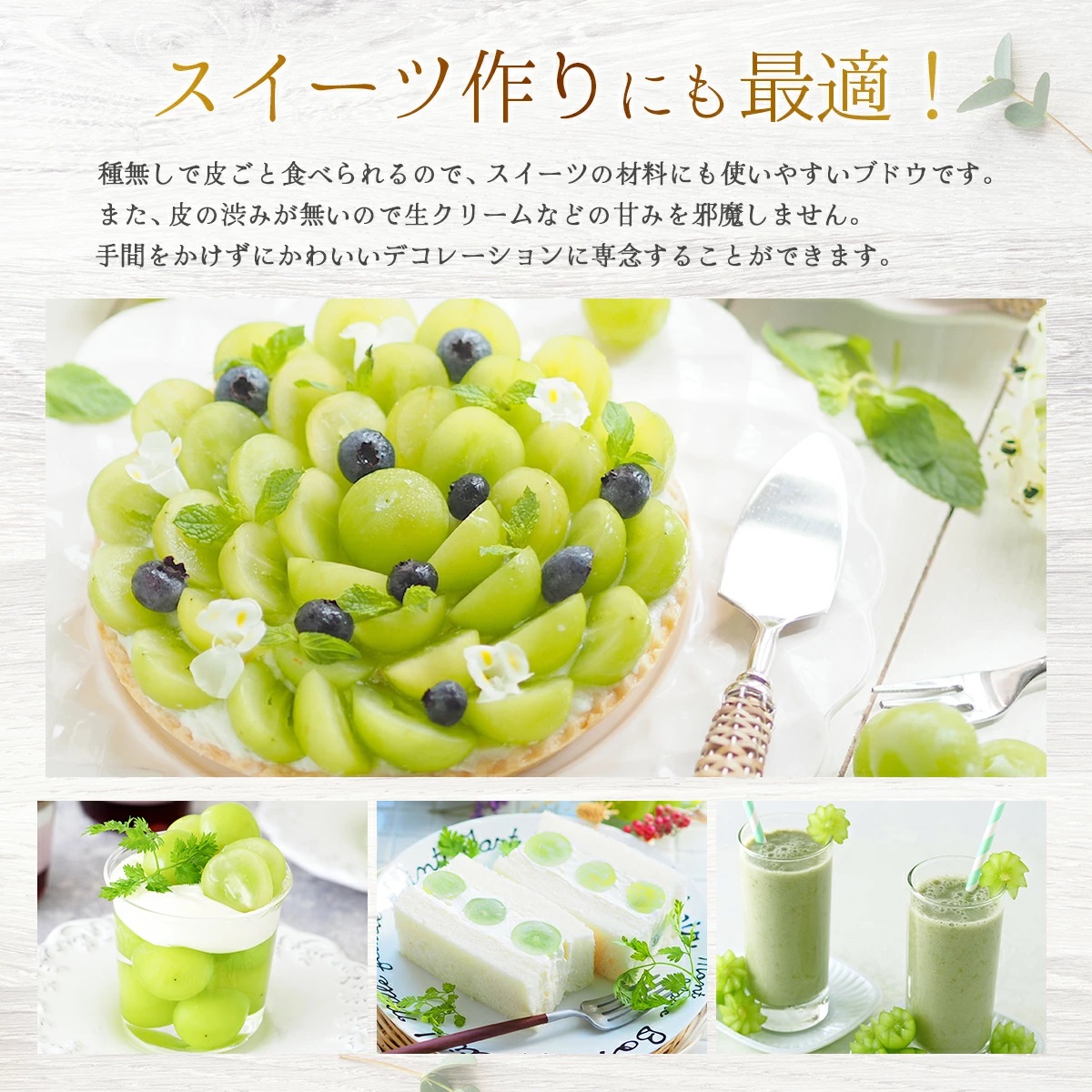 【2026年発送分 先行予約】岡山県産 シャインマスカット 1.5kg以上（3～4房）