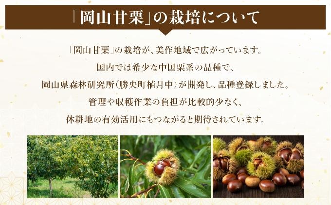 岡山甘栗・15パック詰合せ ギフト