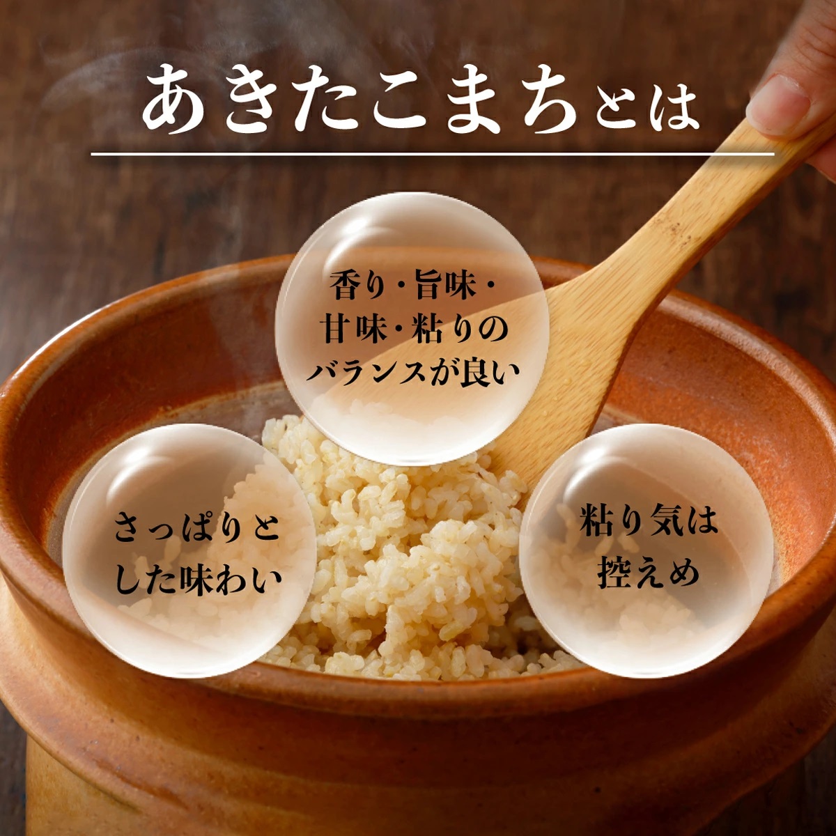 【2026年発送 先行予約】令和8年産 鏡野町産 あきたこまち 玄米 20kg