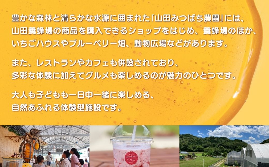 ［山田みつばち農園］1Dayフリーパス（6月～12月）いちご狩りなし