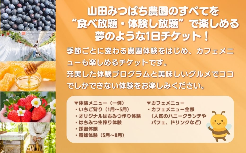 ［山田みつばち農園］1Dayフリーパス（6月～12月）いちご狩りなし