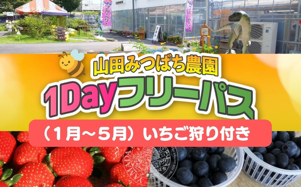 ［山田みつばち農園］1Dayフリーパス（1月～5月）いちご狩り付き