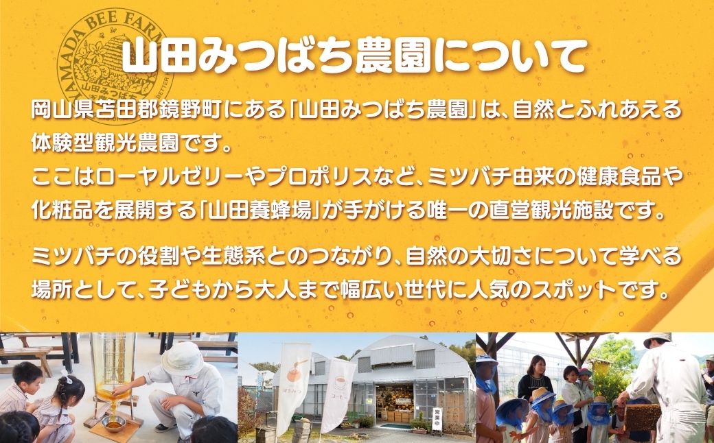 ［山田みつばち農園］1Dayフリーパス（1月～5月）いちご狩り付き