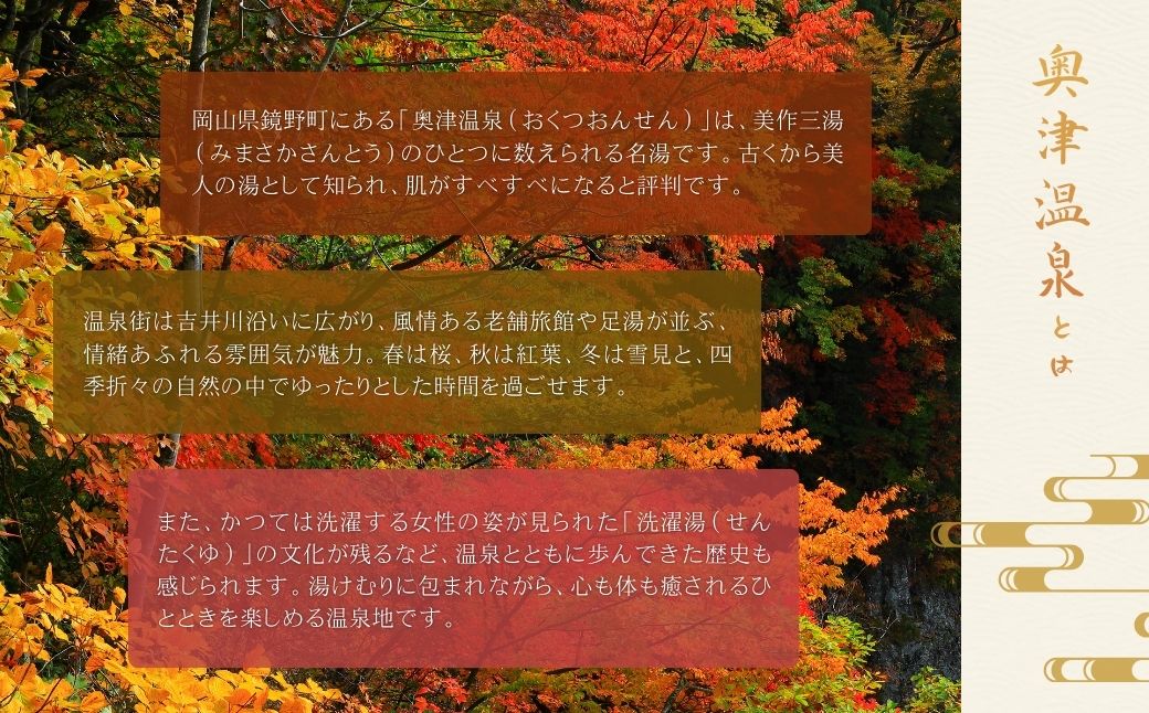 奥津温泉「花美人の里」日帰り入浴券（5回分）