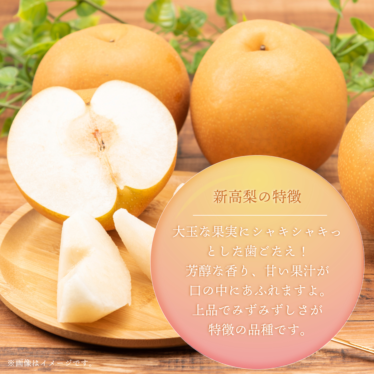 【2026年先行予約】［大原観光果樹園］岡山県産 旬の梨（新高）（約4kg ５～６玉）