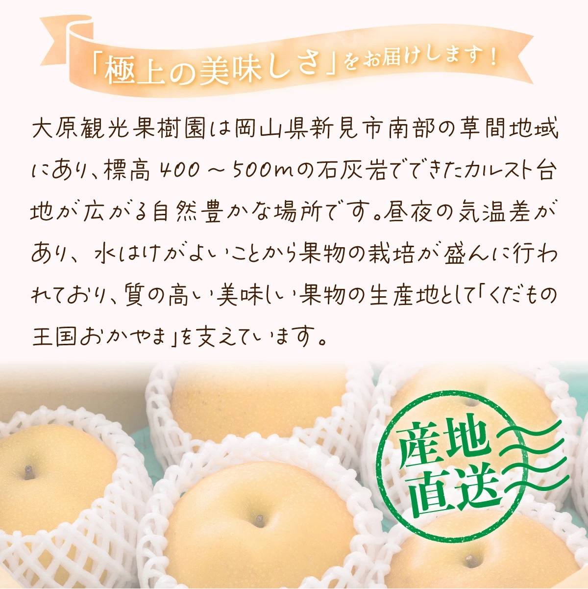 【2026年先行予約】［大原観光果樹園］岡山県産 旬の梨（豊水）（約4kg 10～12玉）