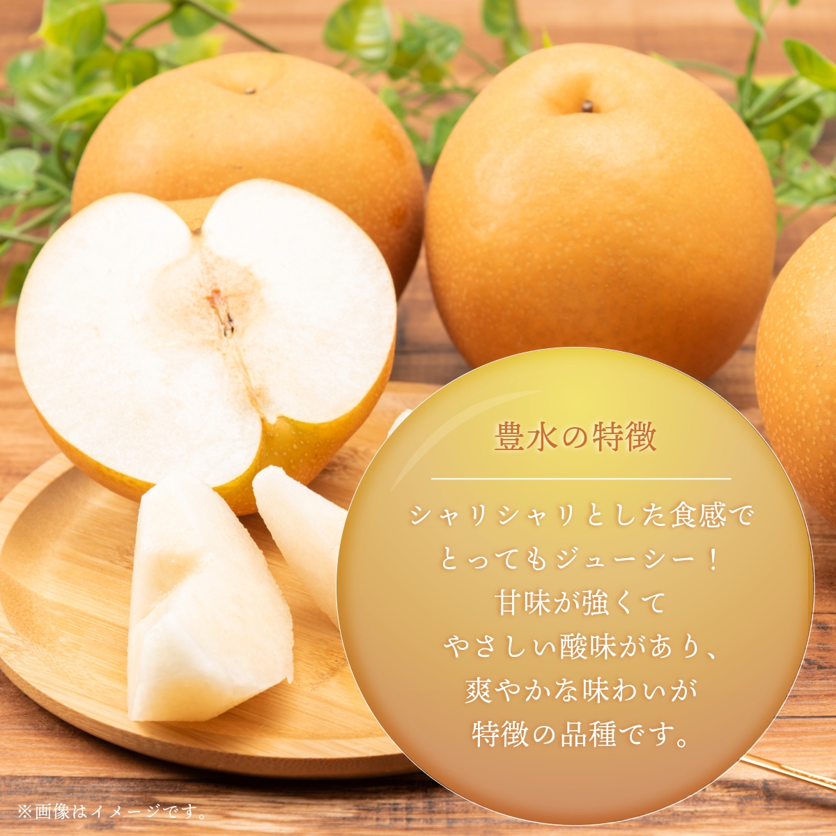 【2026年先行予約】［大原観光果樹園］岡山県産 旬の梨（豊水）（約4kg 10～12玉）