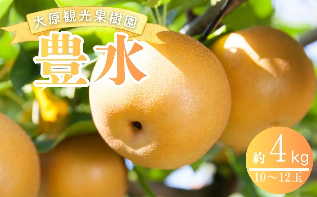 【2026年先行予約】［大原観光果樹園］岡山県産 旬の梨（豊水）（約4kg 10～12玉）