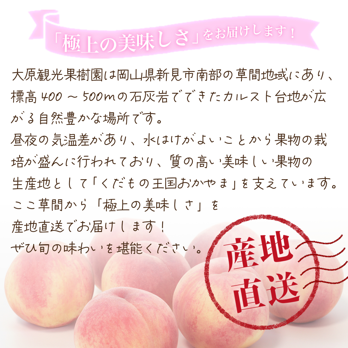 【2026年先行予約】［大原観光果樹園］岡山県産 旬の朝採れ白桃 1箱（約4kg 12～13玉）