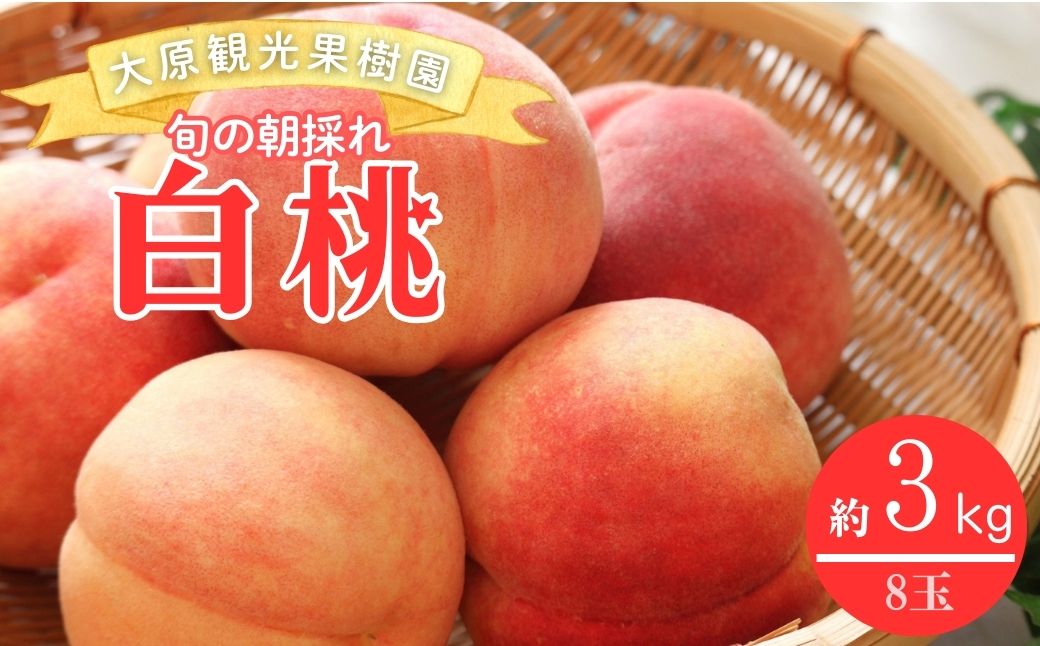【2026年先行予約】［大原観光果樹園］岡山県産 旬の朝採れ白桃 1箱（約3kg 8玉）