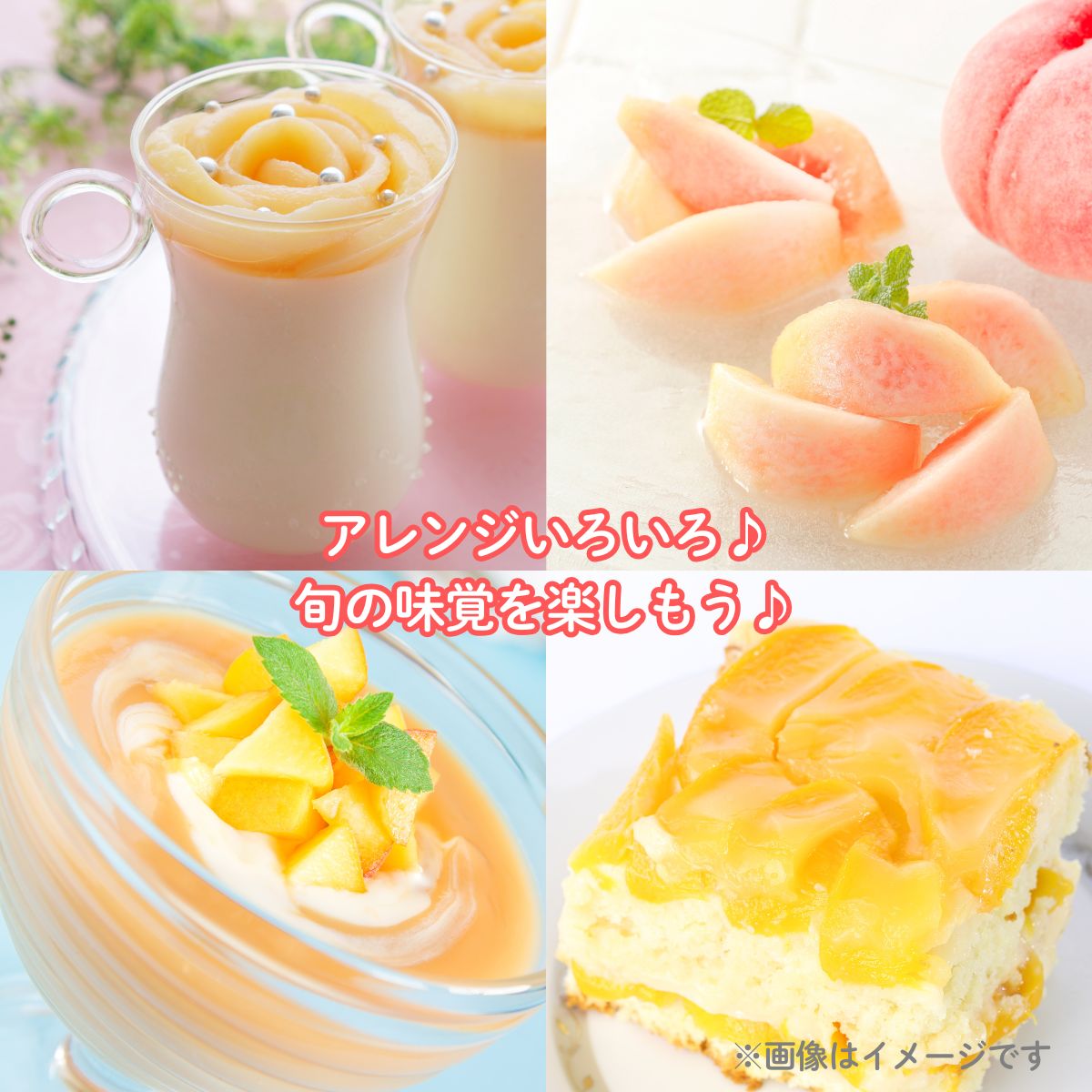 【2026年先行予約】［大原観光果樹園］岡山県産 旬の朝採れ白桃 1箱（約3kg 8玉）