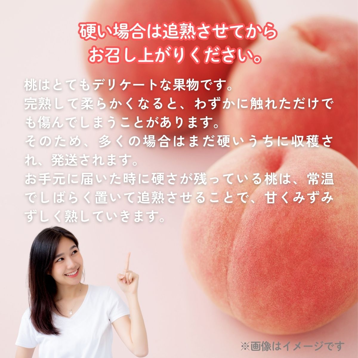 【2026年先行予約】［大原観光果樹園］岡山県産 旬の朝採れ白桃 1箱（約3kg 8玉）