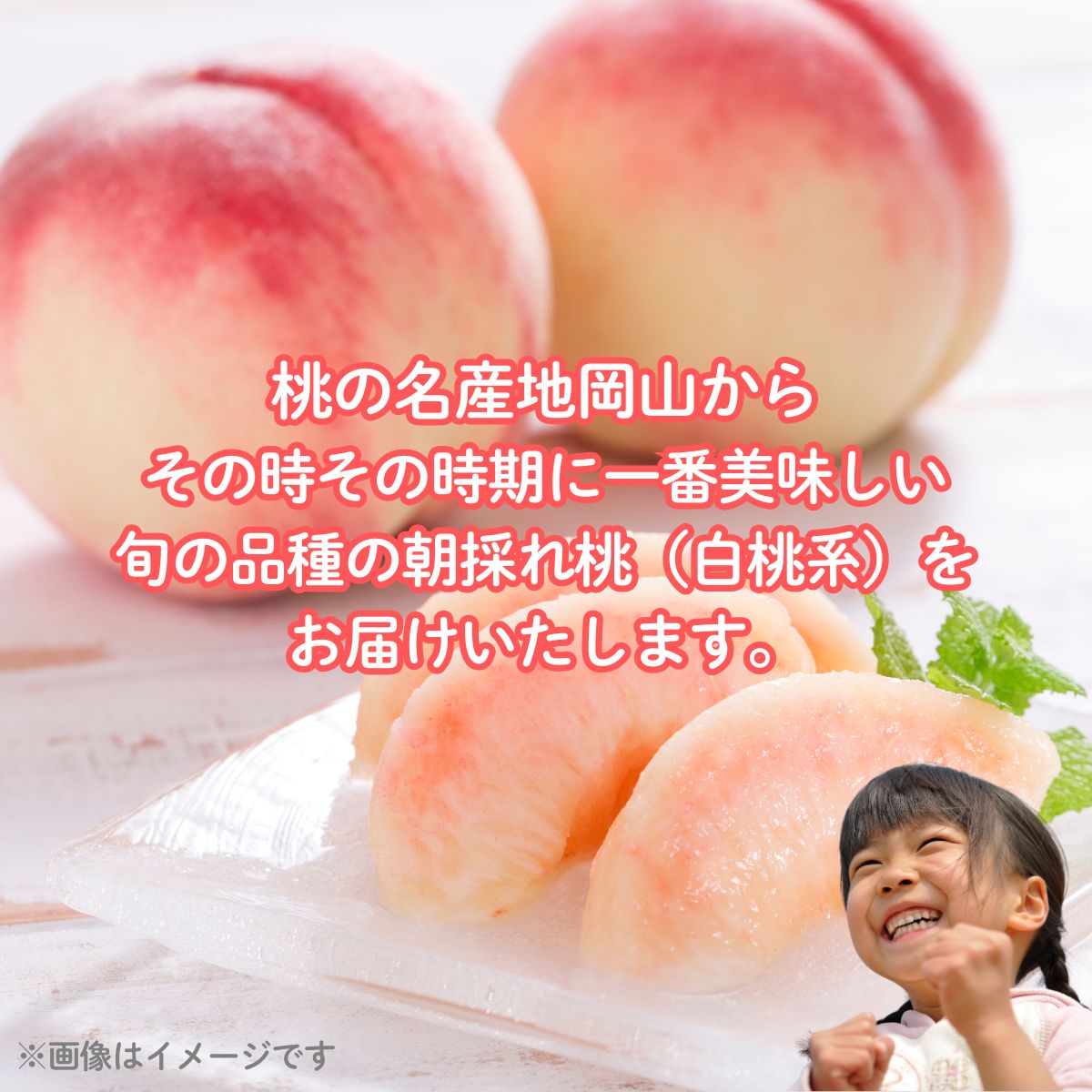 【2026年先行予約】［大原観光果樹園］岡山県産 旬の朝採れ白桃 1箱（約2kg 6玉）