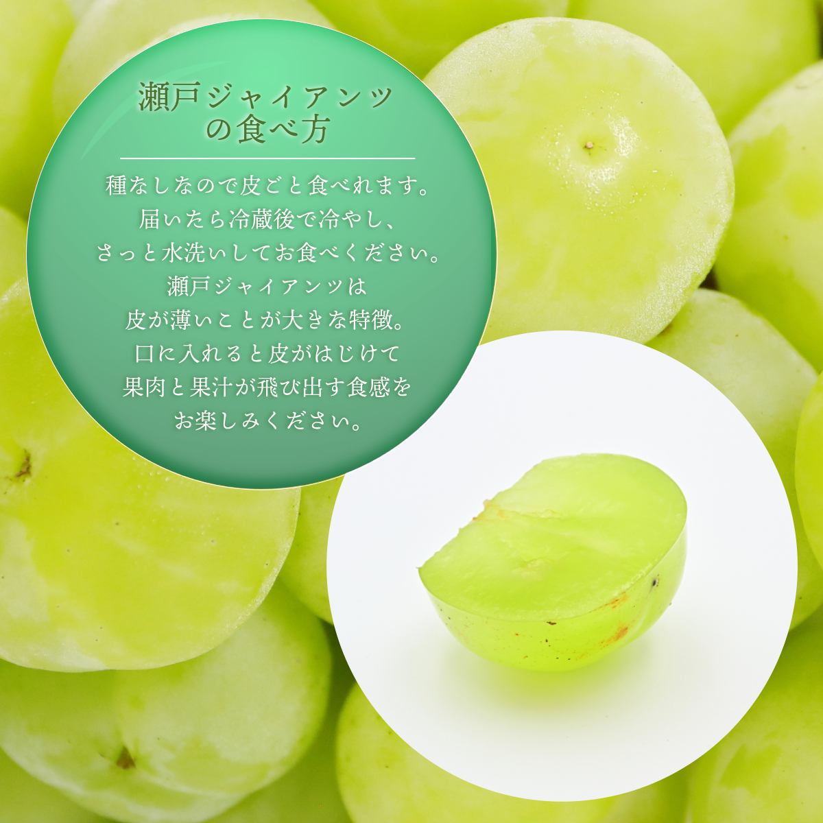 【2026年先行予約】［大原観光果樹園］瀬戸ジャイアンツ  3～4房（約2kg）