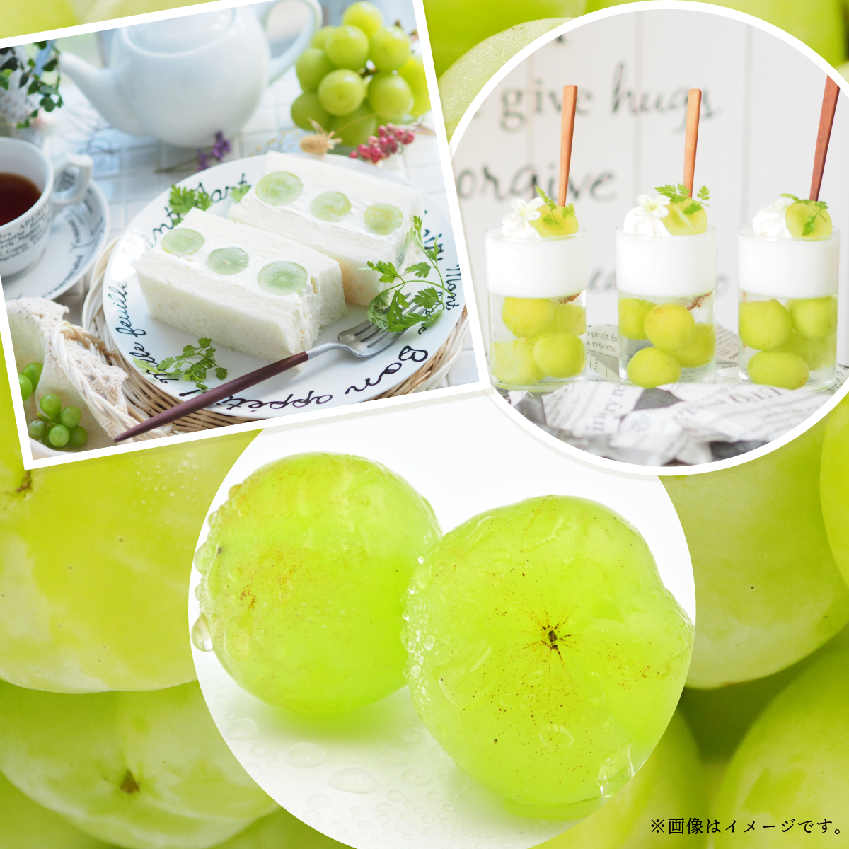 【2026年先行予約】［大原観光果樹園］瀬戸ジャイアンツ  3～4房（約2kg）