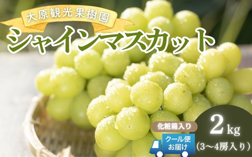 【2026年先行予約】［大原観光果樹園］シャインマスカット 3～4房（約2kg）化粧箱入り