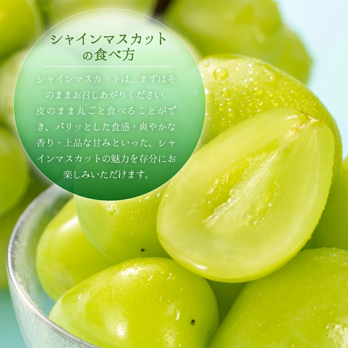 【2026年先行予約】［大原観光果樹園］シャインマスカット 3～4房（約2kg）化粧箱入り