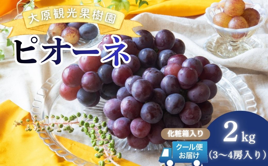 【2026年先行予約】［大原観光果樹園］ピオーネ 3～4房（約2kg）化粧箱入り