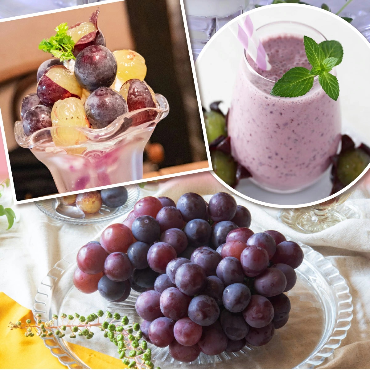 【2026年先行予約】［大原観光果樹園］ピオーネ 3～4房（約2kg）化粧箱入り