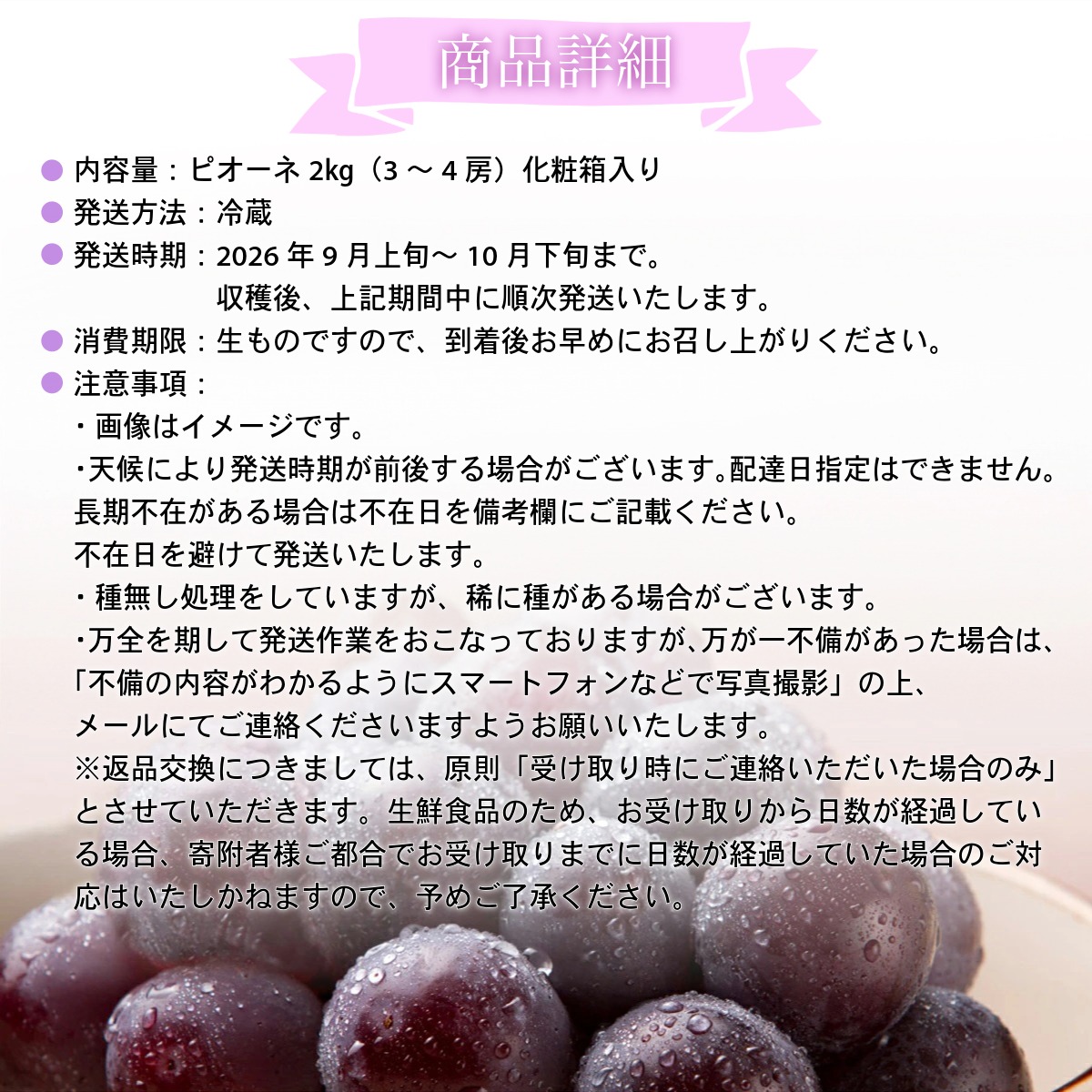 【2026年先行予約】［大原観光果樹園］ピオーネ 3～4房（約2kg）化粧箱入り