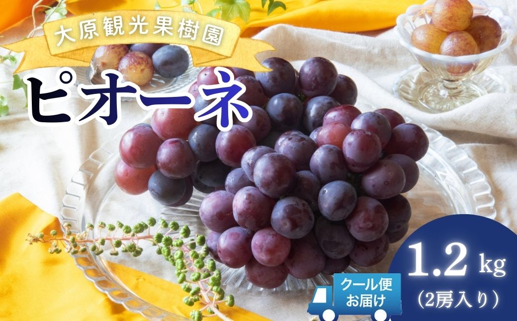 【2026年先行予約】［大原観光果樹園］ピオーネ 2房（約1.2kg）