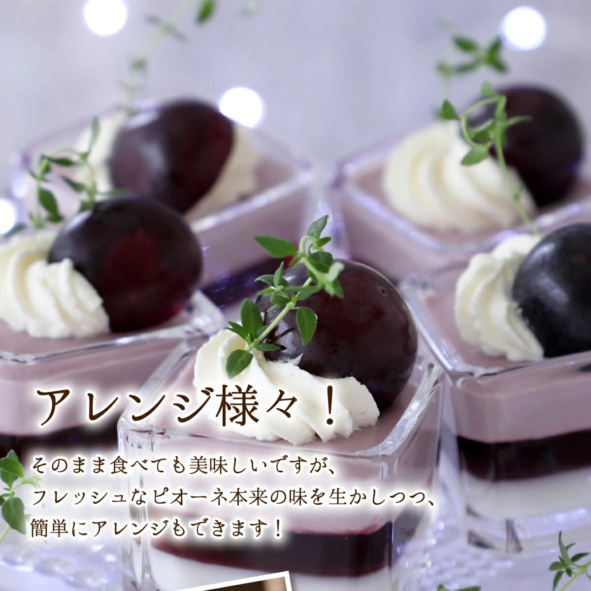 【2026年先行予約】［大原観光果樹園］ピオーネ 2房（約1.2kg）