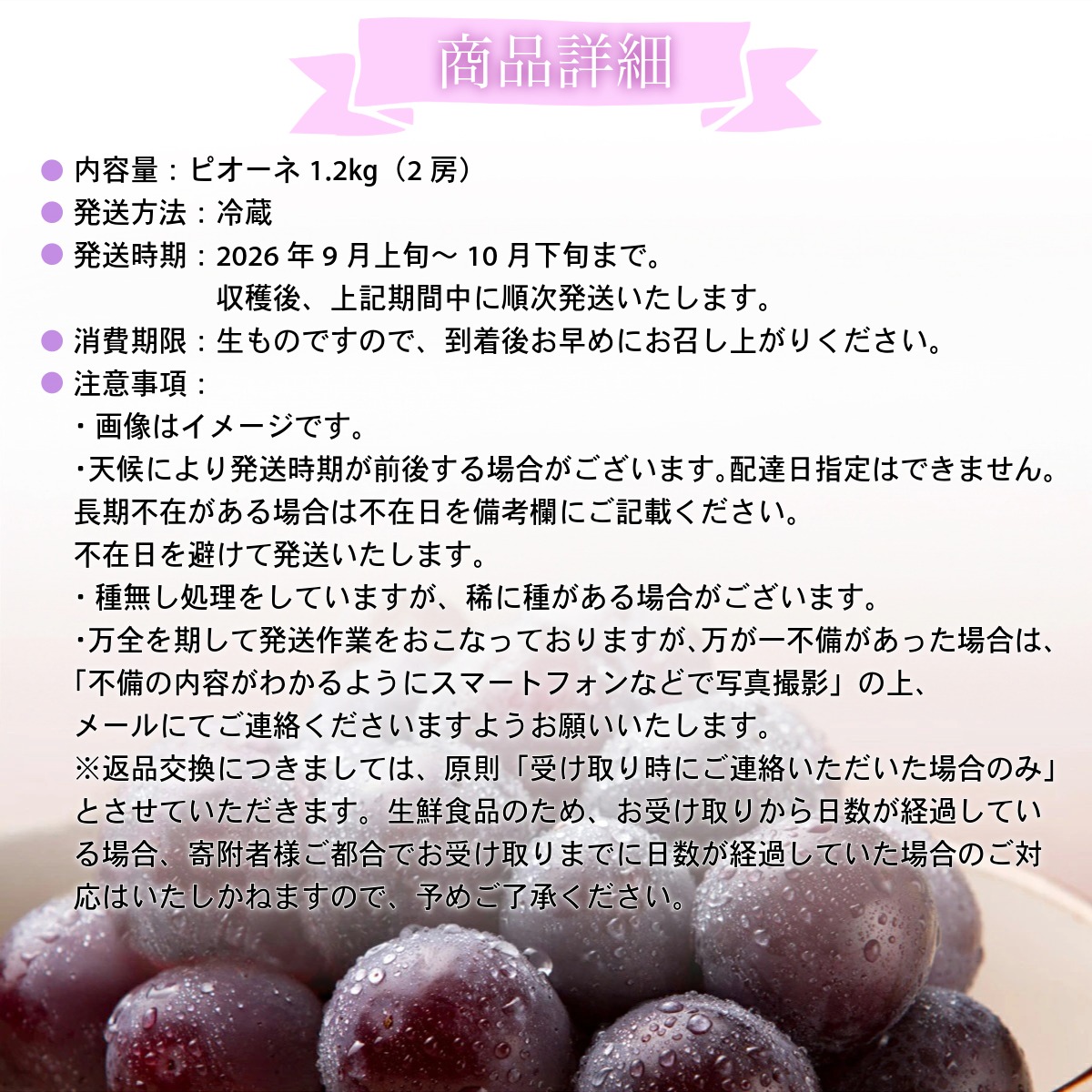 【2026年先行予約】［大原観光果樹園］ピオーネ 2房（約1.2kg）