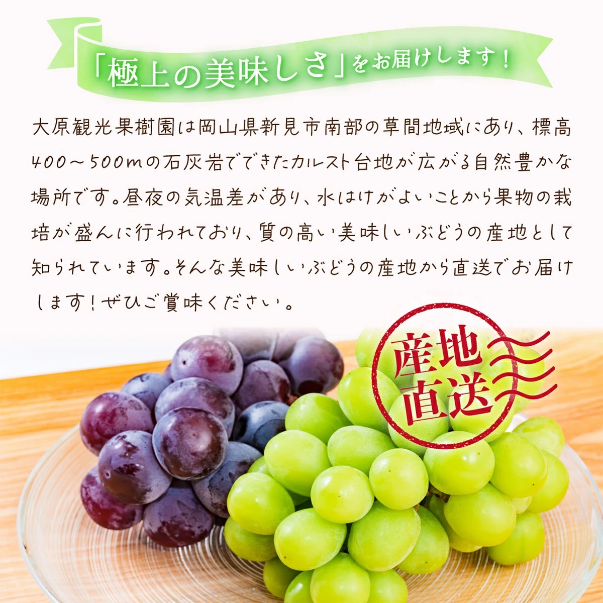 【2026年先行予約】［大原観光果樹園］ピオーネ2房とシャインマスカット2房（計4房 約2kg）