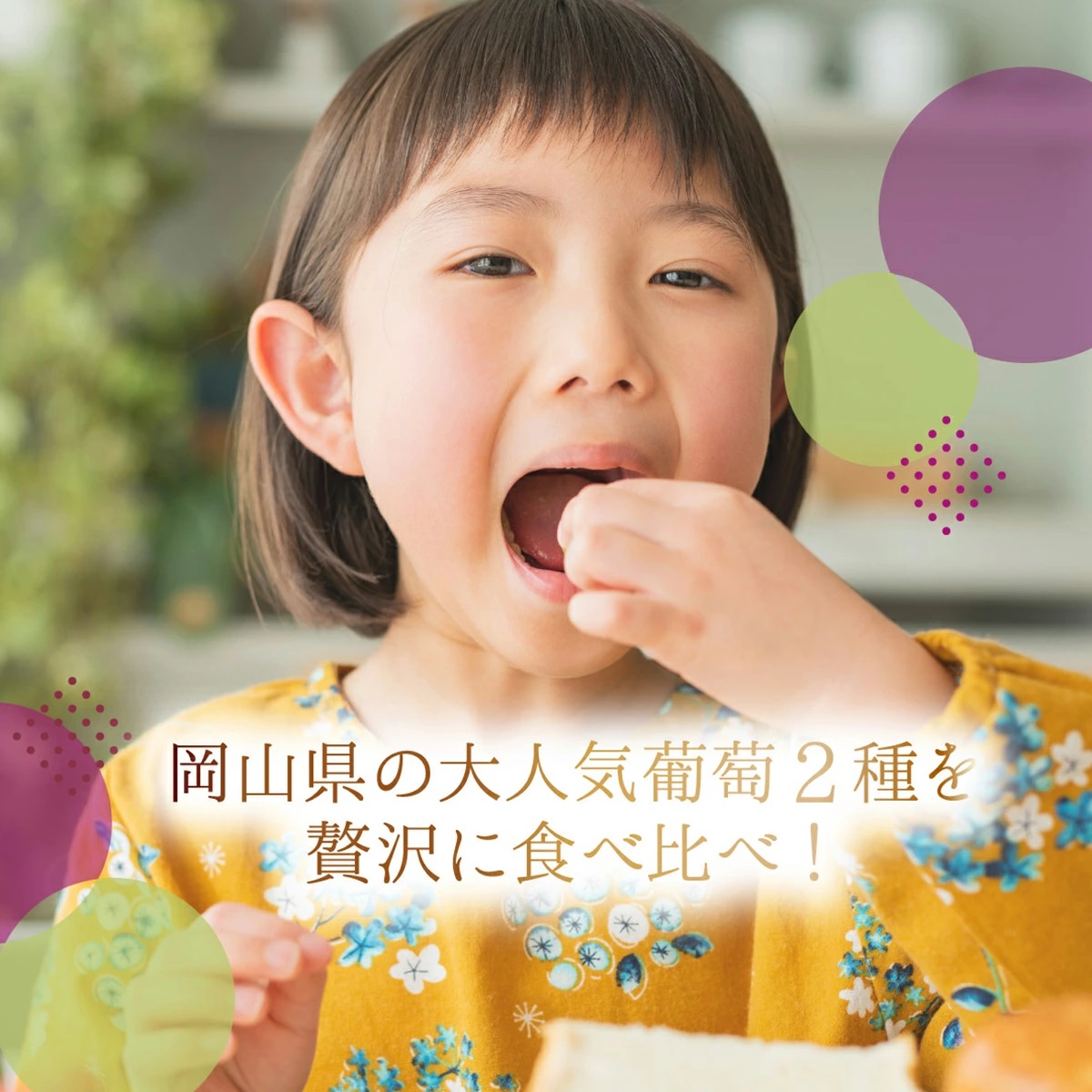 【2026年先行予約】［大原観光果樹園］ピオーネ1房とシャインマスカット1房（計2房 約1.2kg）