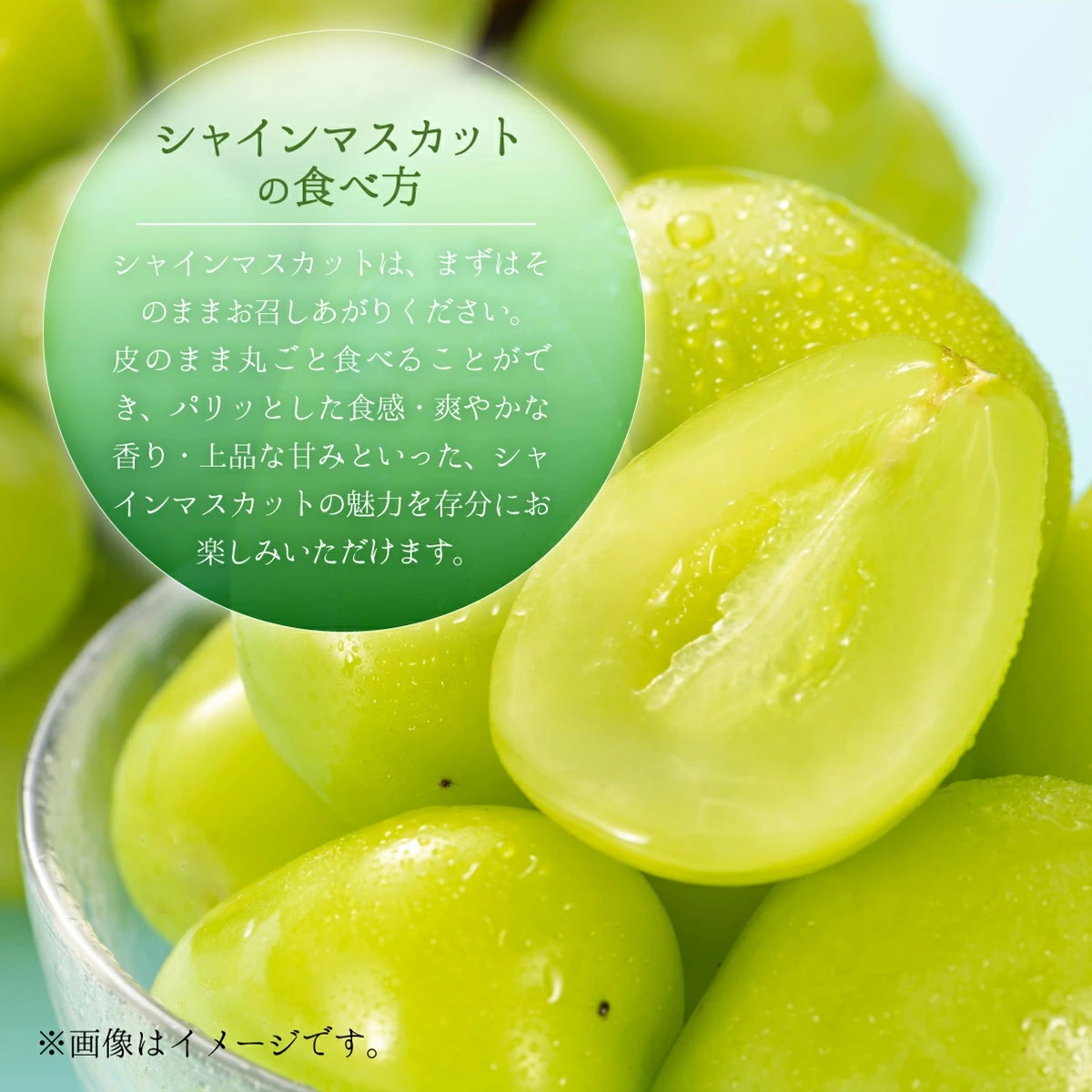 【2026年先行予約】［大原観光果樹園］ピオーネ1房とシャインマスカット1房（計2房 約1.2kg）