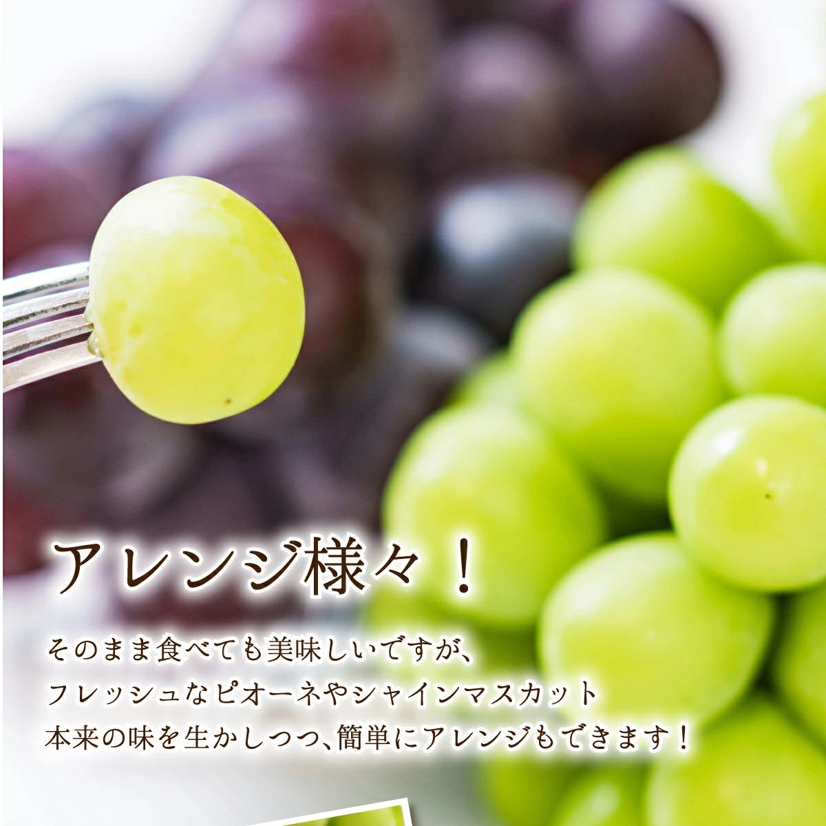 【2026年先行予約】［大原観光果樹園］ピオーネ1房とシャインマスカット1房（計2房 約1.2kg）