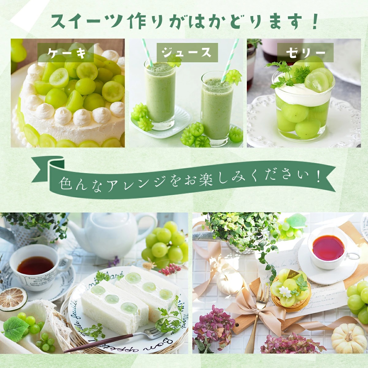 【2026年発送分 先行予約】9～10月発送 お土産シャインマスカット２Kg箱