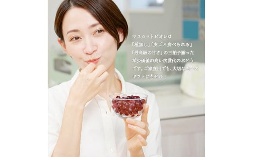 【2026年発送分 先行予約】10～11月発送お土産マスカットビオレ１Kg箱